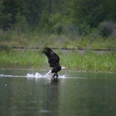Gotcha!
Photo by Hilda Jensen