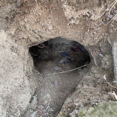 Columbia Ground Squirrels nest made by a hungry Badger digging for lunch.
Photo by Larry Halverson