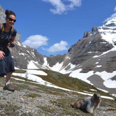 Hoary Marmot
Photo by Heather Halverson
