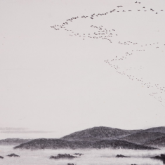 The geese are coming. 
Larry Halverson
