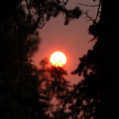 Sun reflecting BC wildfires Photo by Hilda Jensen