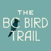 BC Bird Trail